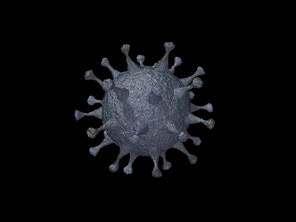 Число заболевших коронавирусом в Тюмени на 4 июня 2020 года увеличилось сразу на 49 человек. Фото - pixabay.com.