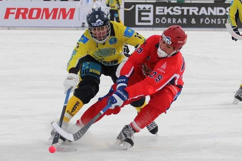 Названа дата проведения чемпионата мира по хоккею с мячом 2020 в Иркутске