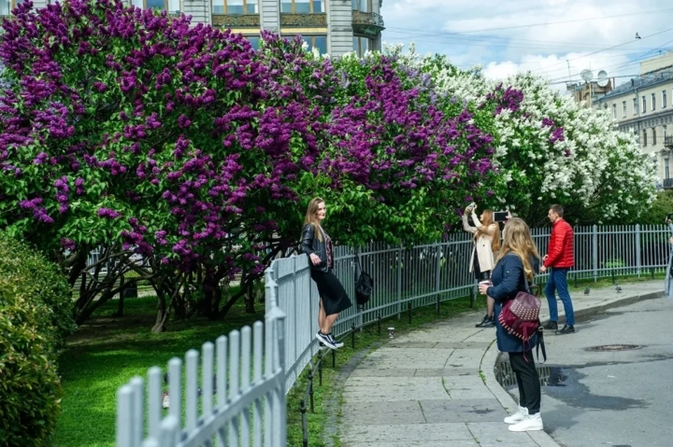 Погода на 6 июня 2020 года в Санкт-Петербурге обещает тепло с кратковременным дождиком.