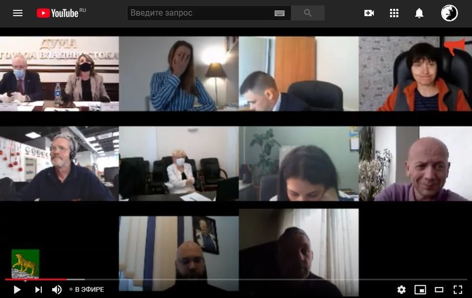 Скриншот видео заседания комитета по социальной политике и делам ветеранов 13 июня