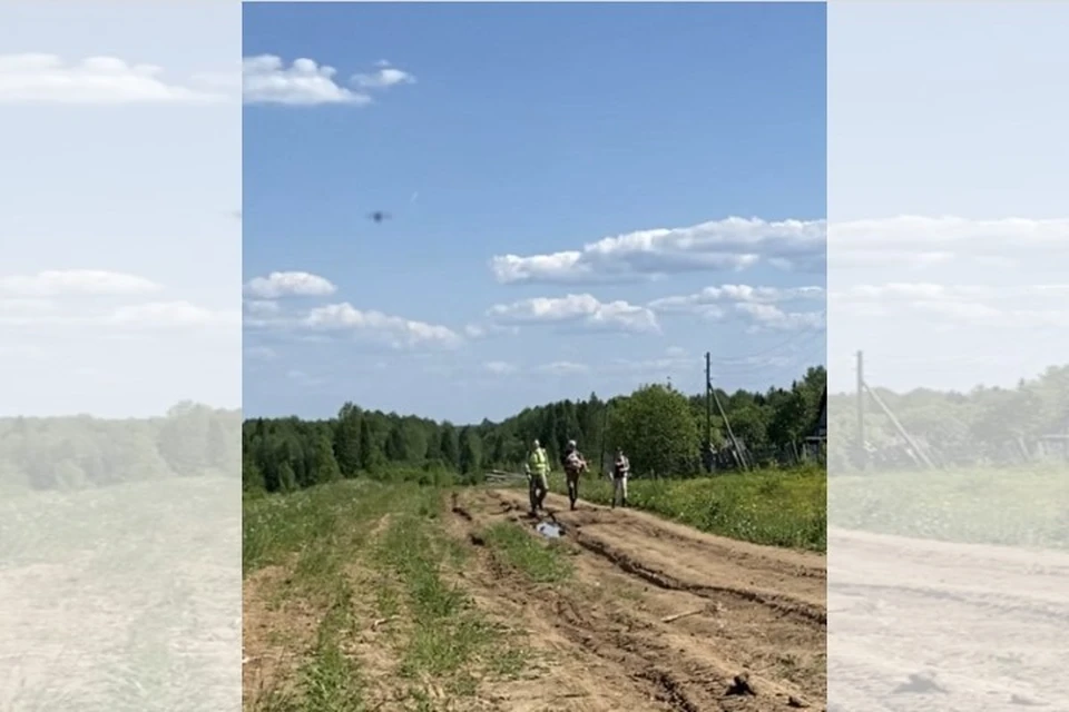 Волонтеры несут малышку на руках. Фото: поисковой отряд "Регион59"
