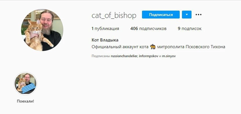 Митрополит Псковский и Порховский Тихон создал страничку в социальной сети Инстаграм своему коту