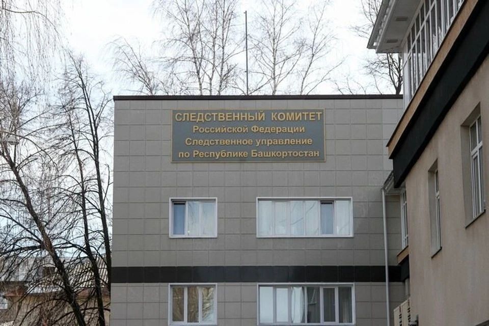 В ходе проверки правоохранителям предстоит установить все обстоятельства произошедшего.