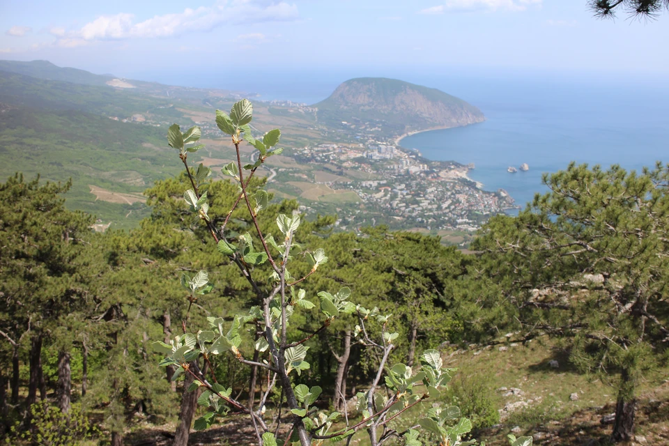 В Крыму переменная облачность