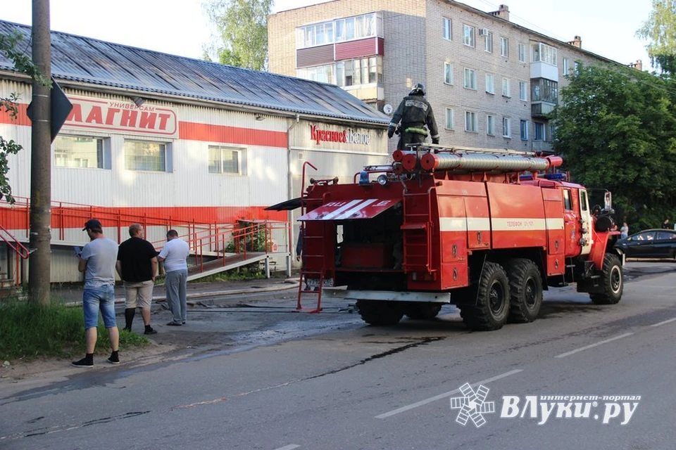 Фото: интернет-портал ВЛуки.ру