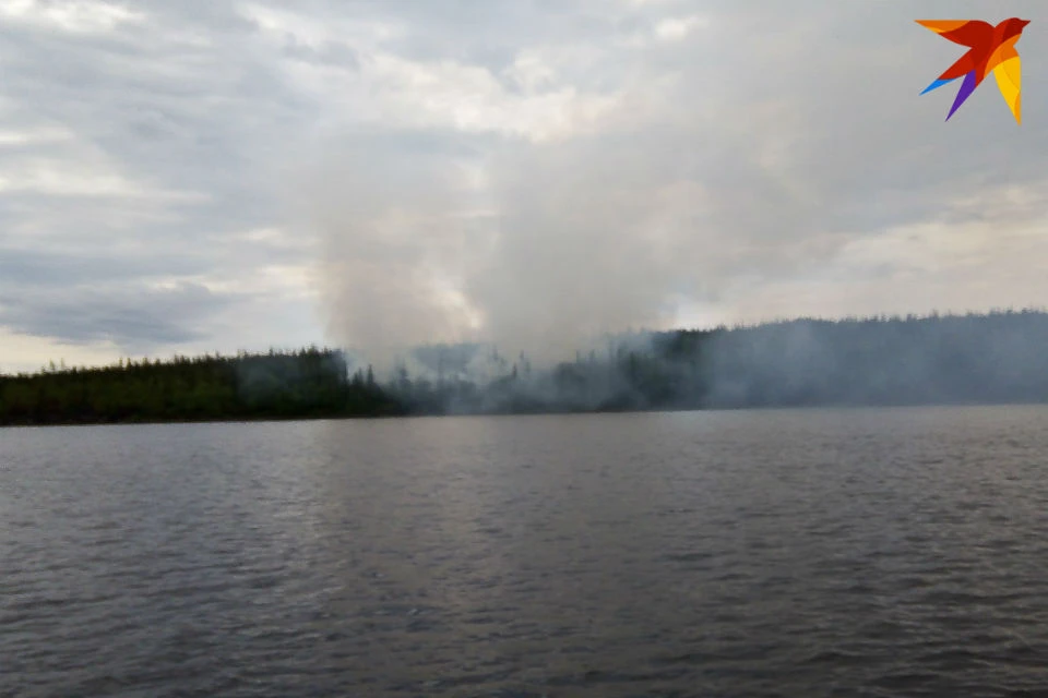 На тушение пожара на острове Партизанский ушли сутки.