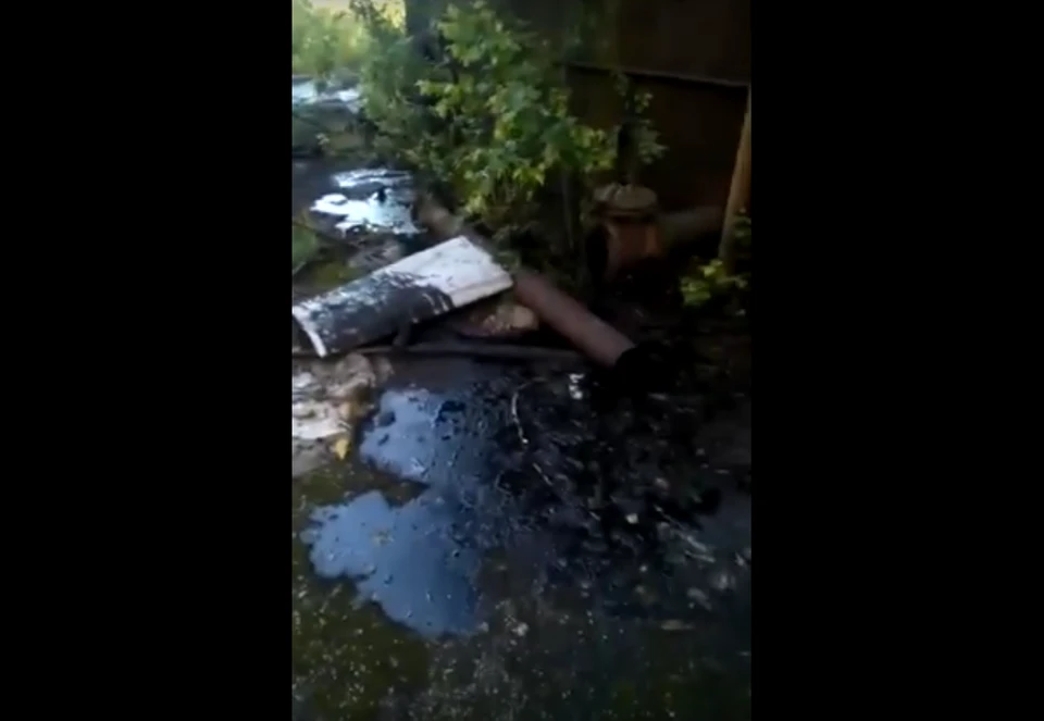Фото: стоп-кадр видео Gorod71
