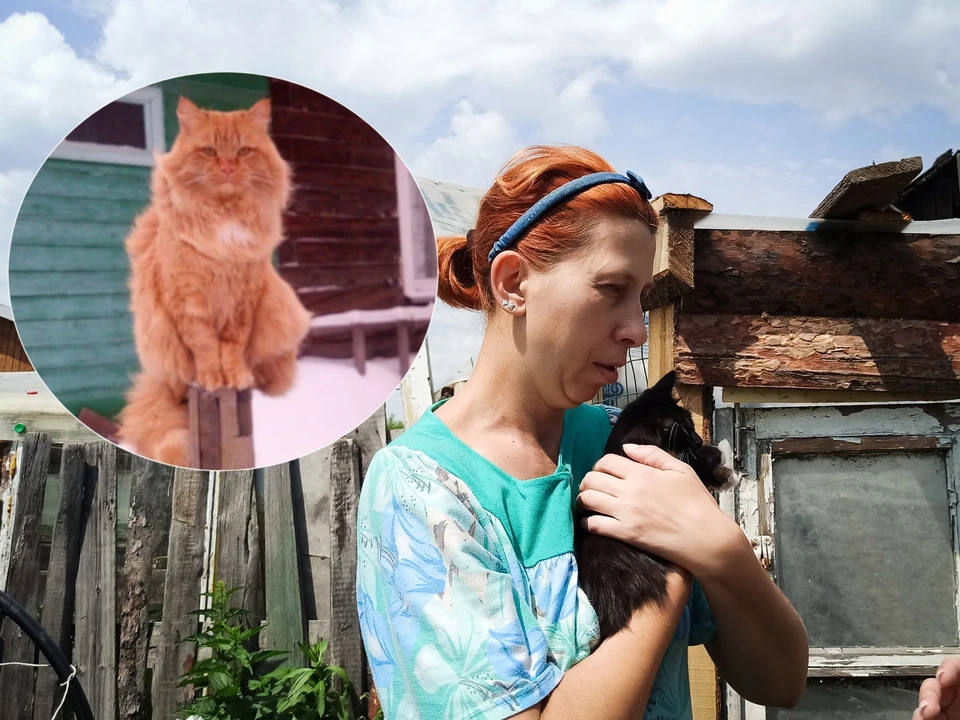 Оксану обвиняют в похищении кота Фили. Фото: Личный архив героя/Алена МАРТЫНОВА