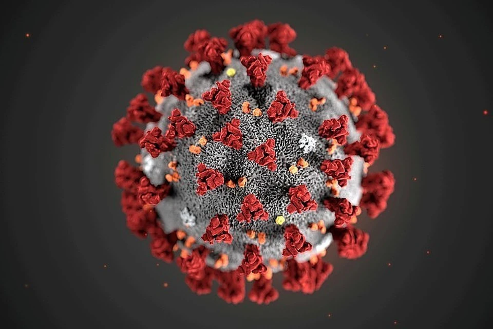 Эксперт рассказал, что ждет человечество после уничтожения коронавируса