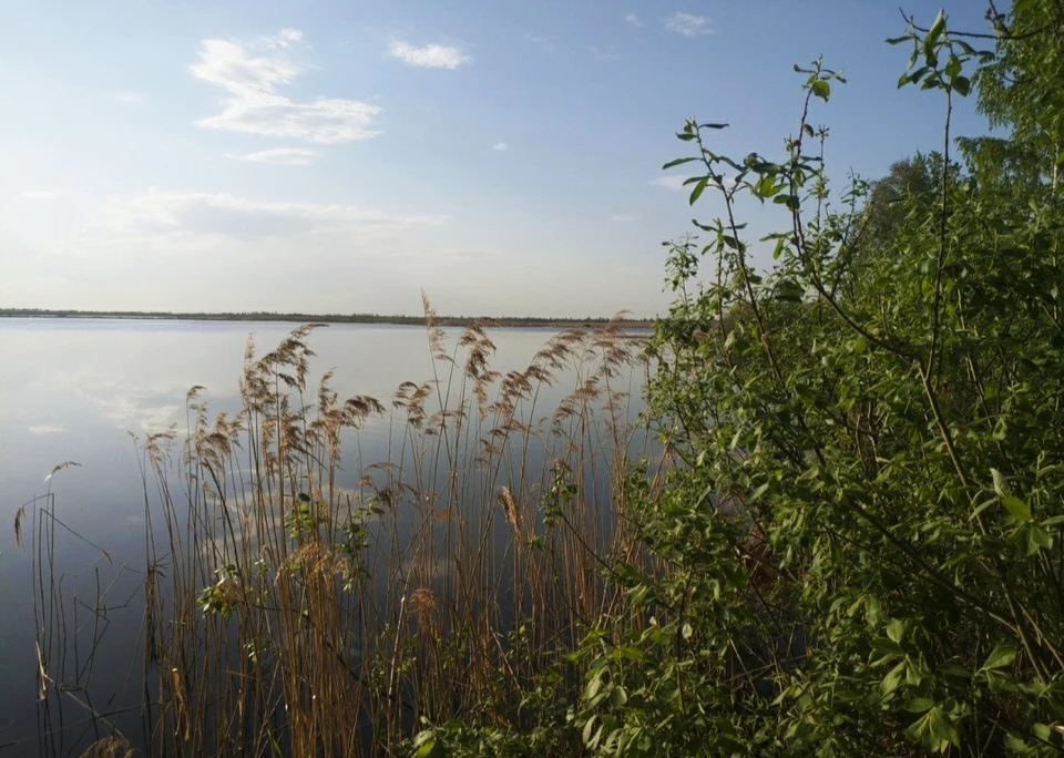 Андреевское озеро в тюменской области