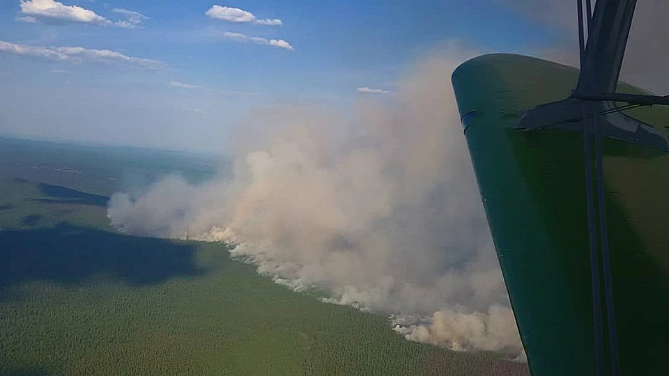 На север Красноярского края перебросили 1000 лесных пожарных. Фото: министерство лесного хозяйства края