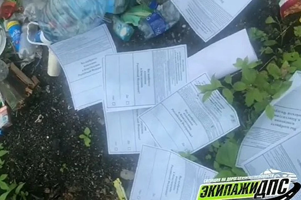 Специалисты призывают не поддаваться на провокацию