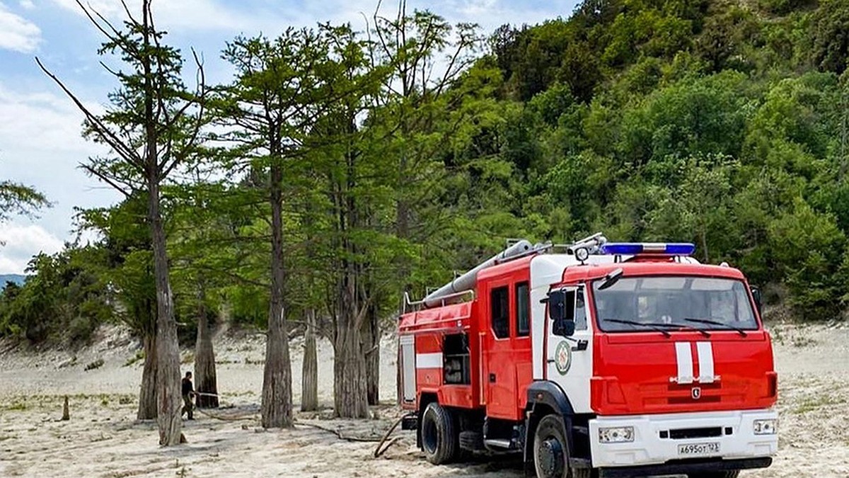 В Анапе из-за жары высохло знаменитое кипарисовое озеро - KP.RU