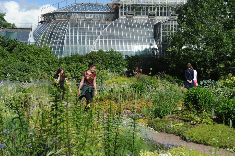 Ботанический сад открылся 2 июля в Петербурге