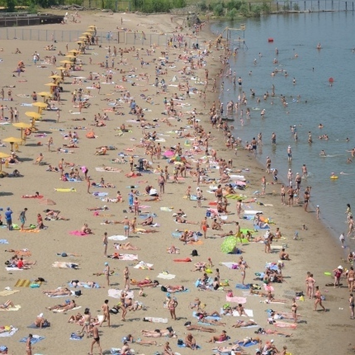 Пляж Новосибирска Фото