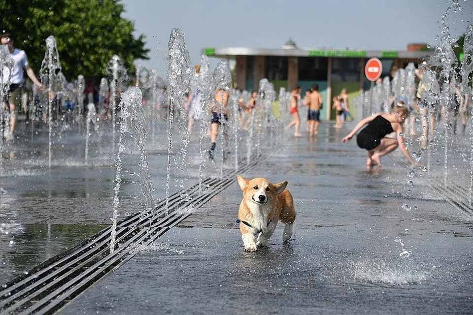 В Московском регионе объявили оранжевый уровень погодной опасности из-за жары