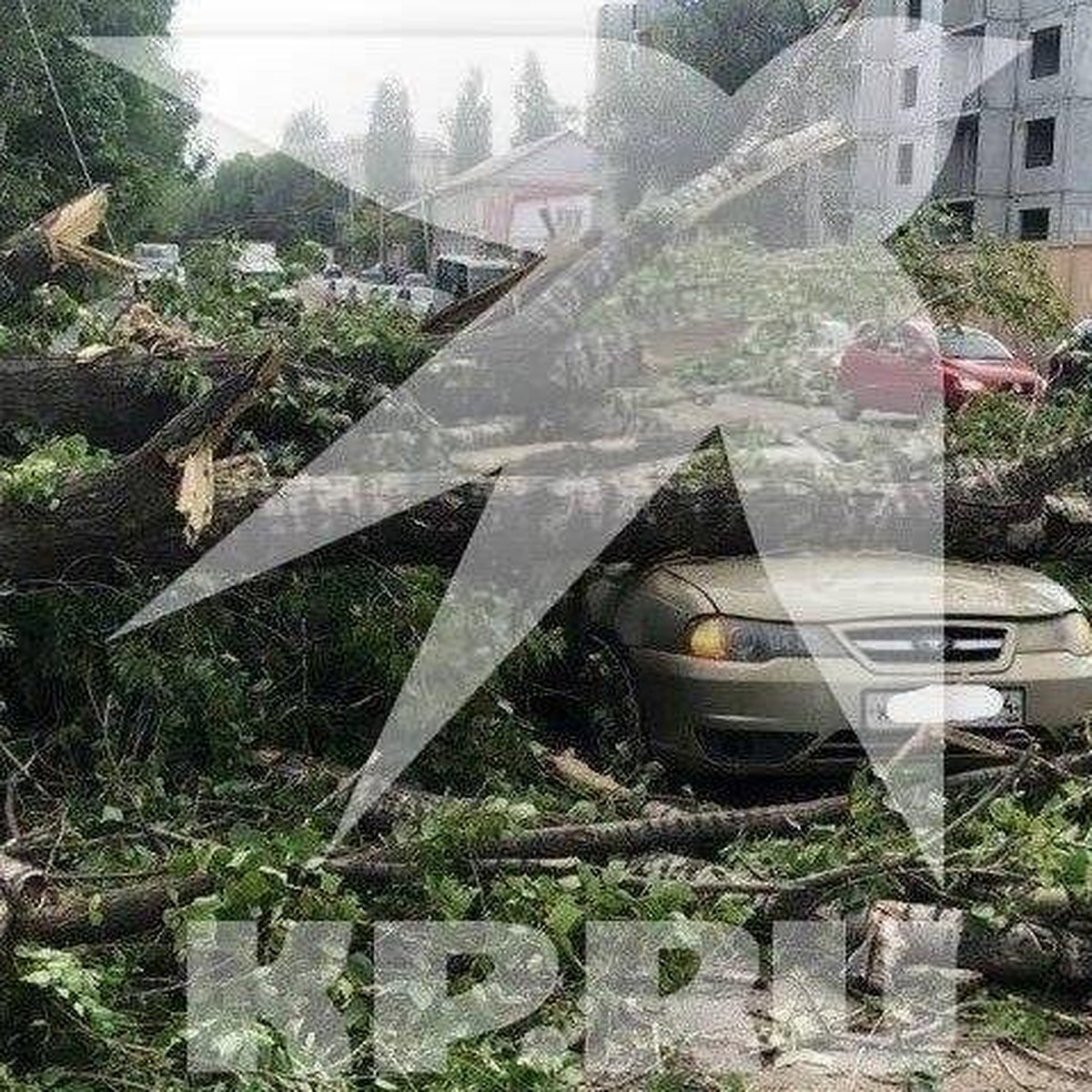 Ураган в Заводском районе: климатическое оружие или настроения природы -  KP.RU