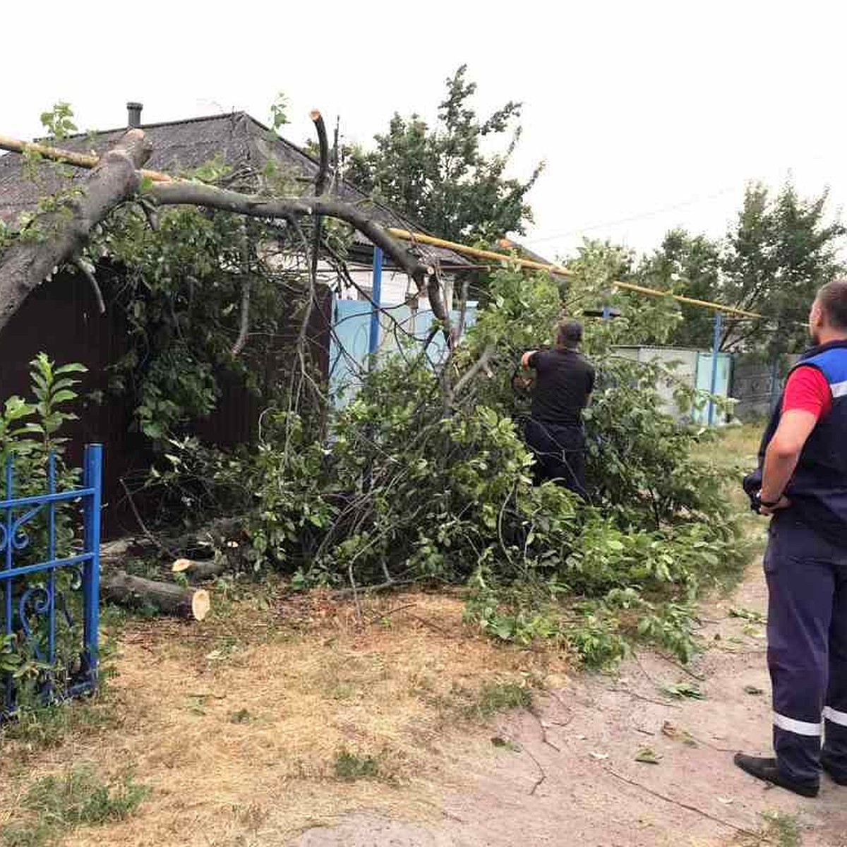 Грозовой фронт, пронесшийся по региону, повалил множество деревьев на  провода, газопровод, крыши домов - KP.RU