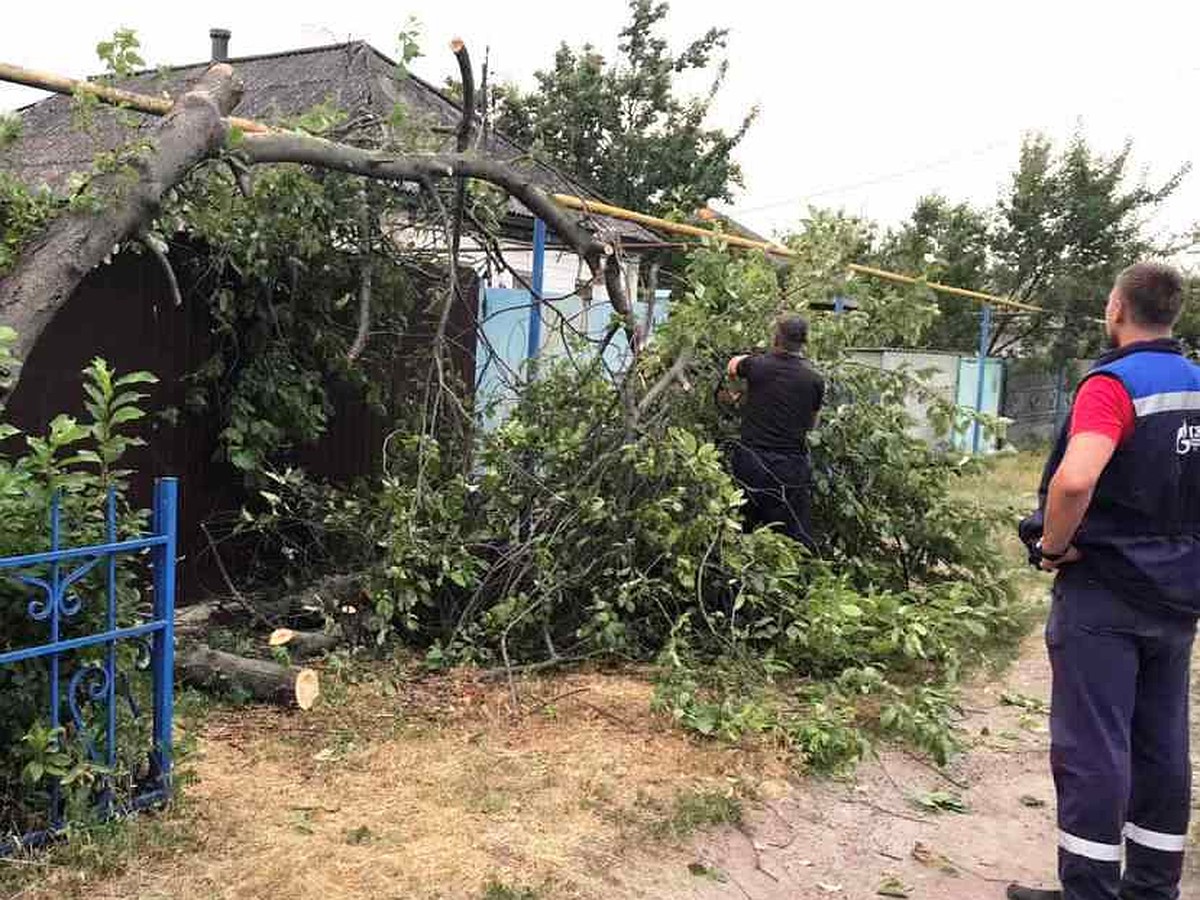 Грозовой фронт, пронесшийся по региону, повалил множество деревьев на  провода, газопровод, крыши домов - KP.RU