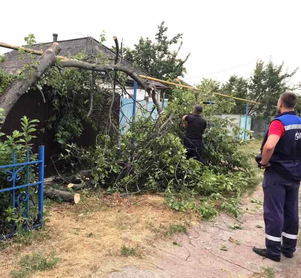 Грозовой фронт, пронесшийся по региону, повалил множество деревьев на  провода, газопровод, крыши домов - KP.RU