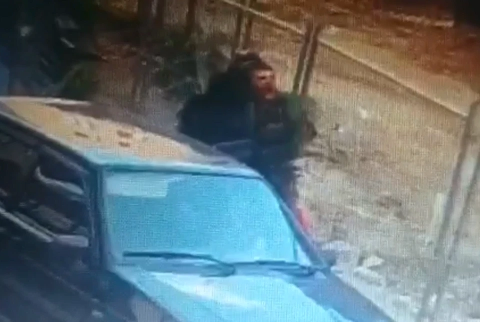 Фото: скриншот с видео