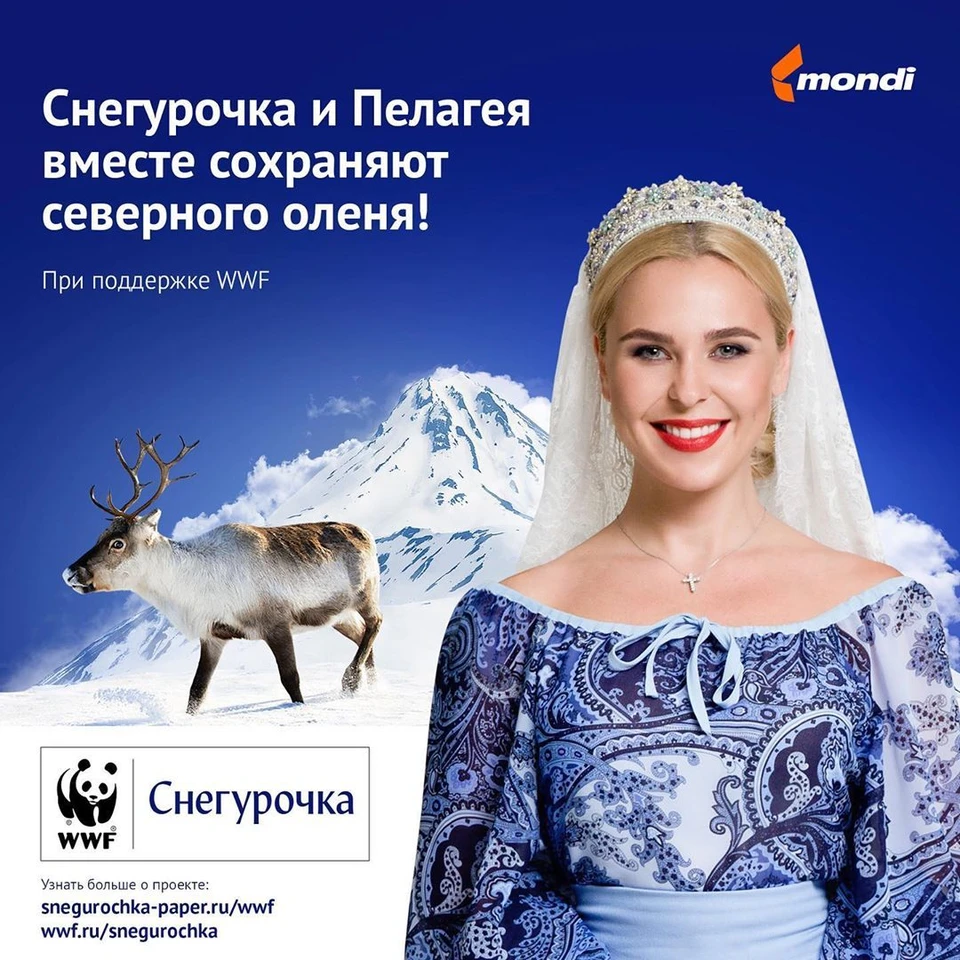 Певица Пелагея стала лицом проекта по защите северного оленя в Коми.