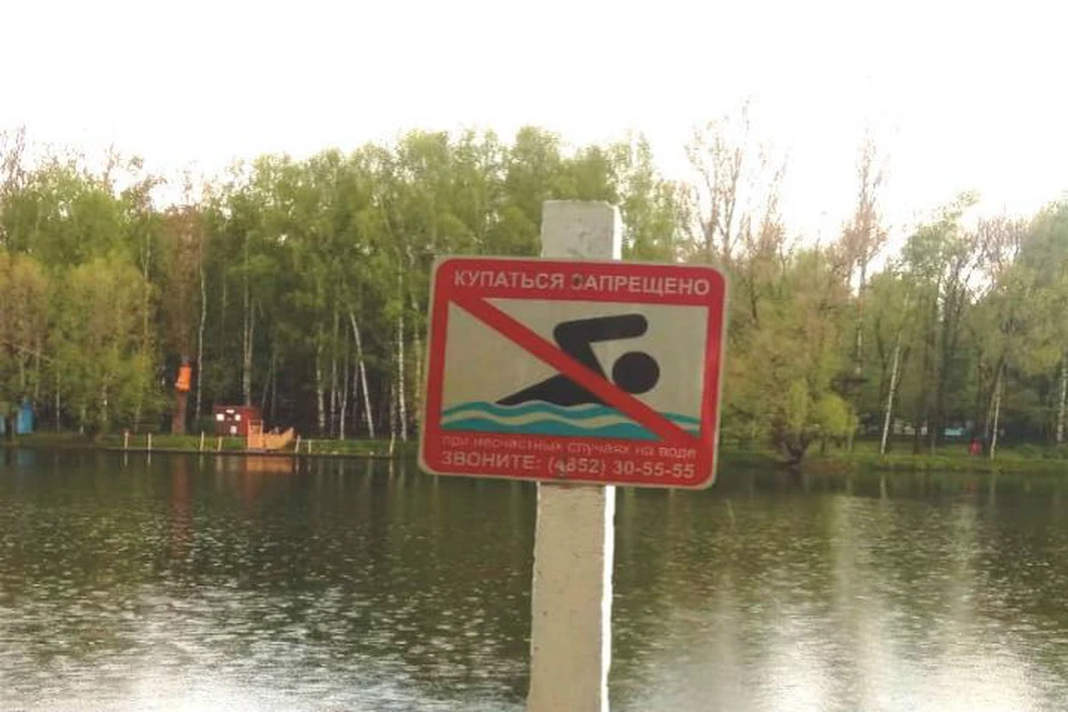 Ярославцам запретили купаться в Петропавловских прудах