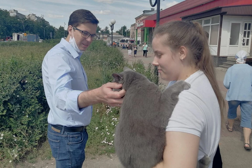 «Пушистая радость»: во время разбора завалов на месте взрыва газа в Нижнем Новгороде спасатели нашли кота