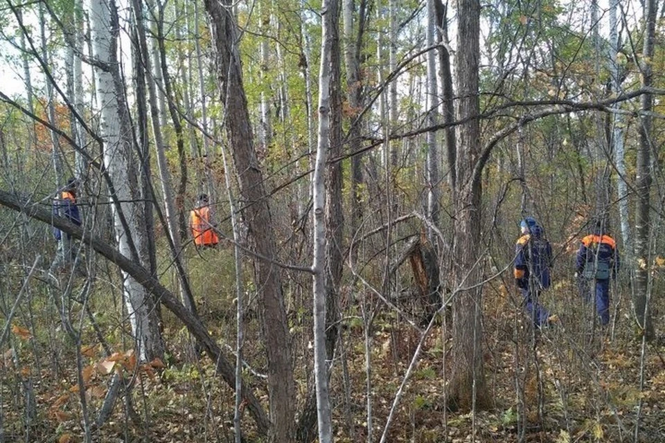 Спасатели продолжают искать сборщика дикоросов в Хабаровском крае