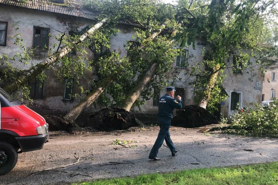 В ЕАО поваленные ветром деревья разрушили дома