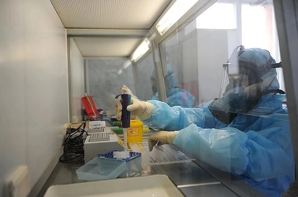 Нужно ли жителям ДНР по приезду в Россию делать тест на коронавирус