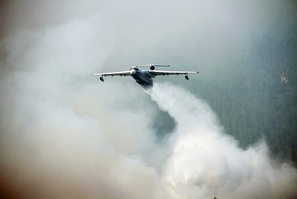 40 воздушных судов участвуют сейчас в спасении леса от огня.