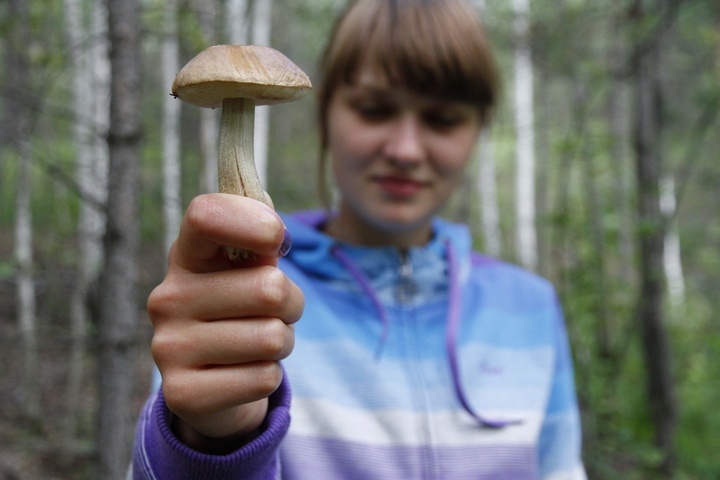 Карта грибных мест Красноярска и Красноярского края 2021