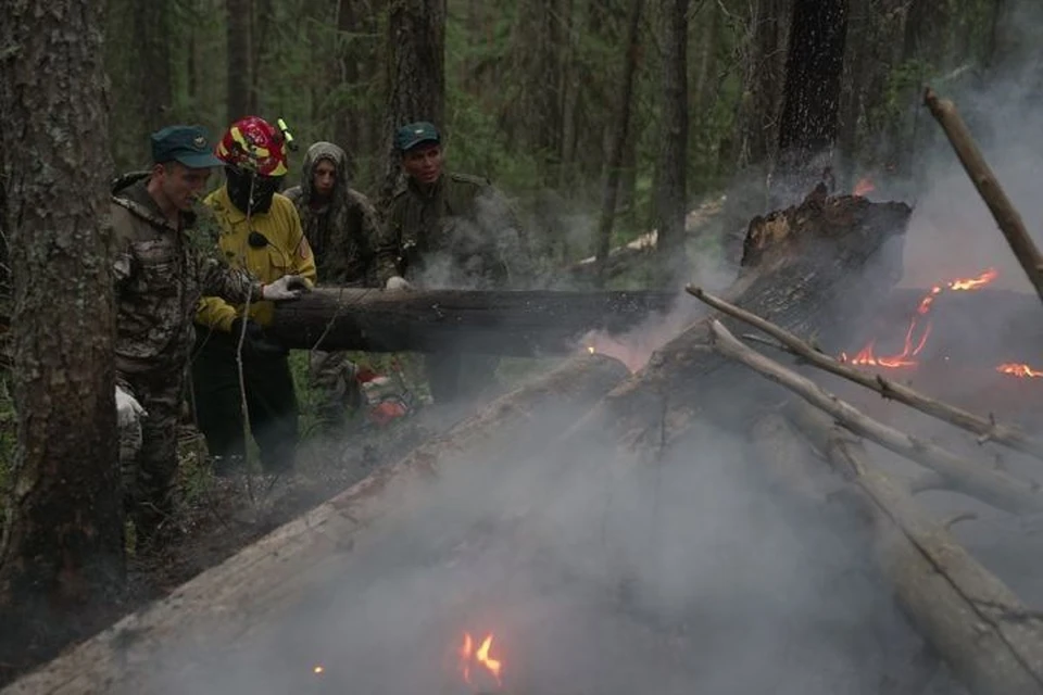 С огнем в заповеднике борются больше 50 человек. Фото: пресс-служба заповедника «Денежкин Камень»