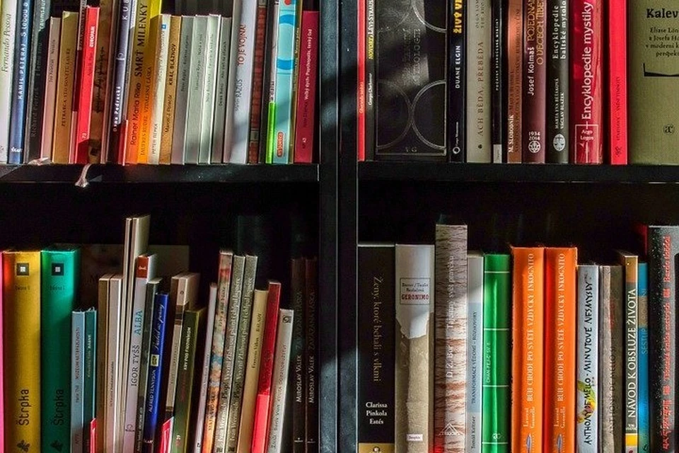 «Литературная лаборатория» Югры снимет буктрейлеры по классическим произведениям