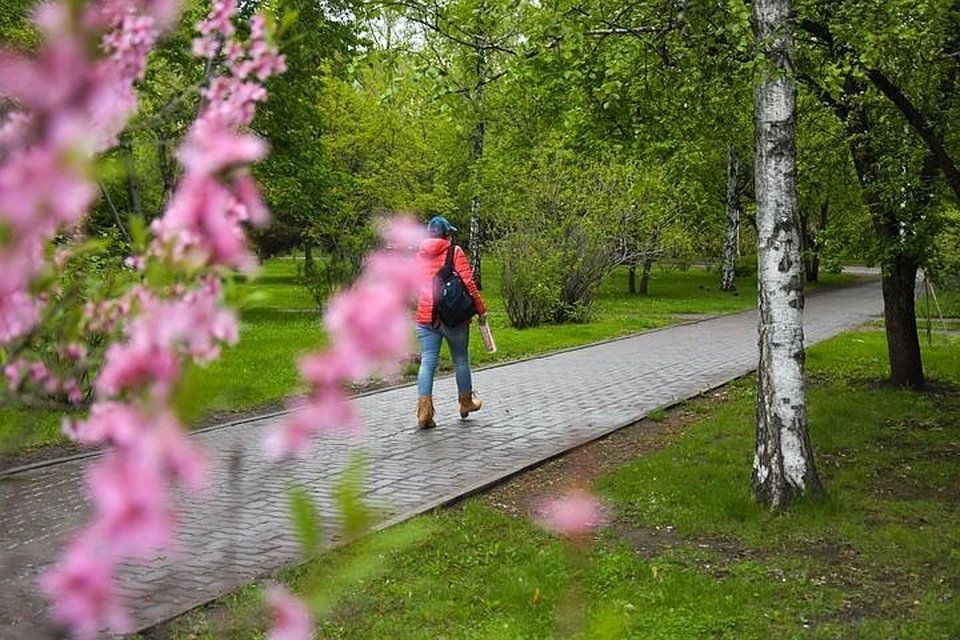 Является ли Новосибирск криминальным городом?