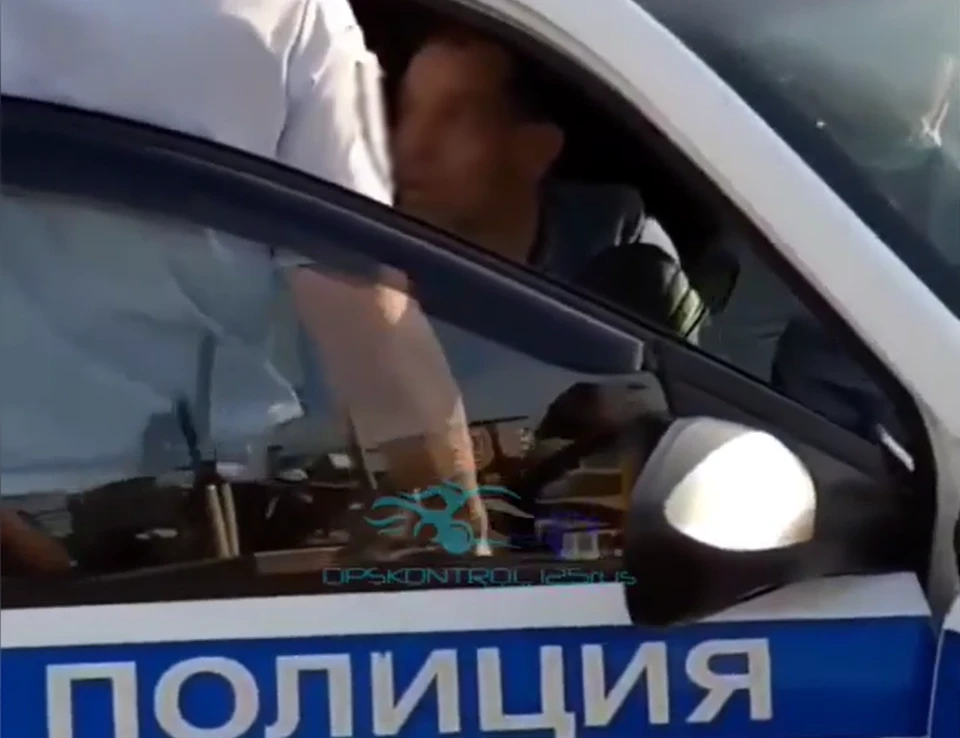Подозреваемый в краже