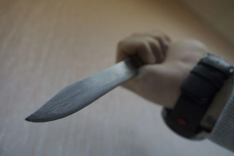 Туляка посадят почти на семь лет за попытку убить товарища в Центральном парке города