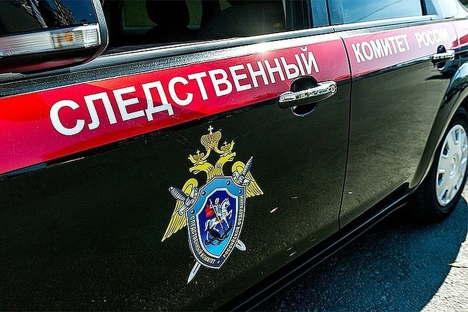 СК рассказал о ежегодных потерях бюджета из-за налоговых преступлений