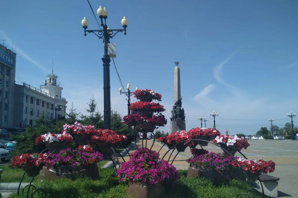 Обстановка в Хабаровске 28 июля 2020 года: заболеваемость, дорожные работы, отключения воды