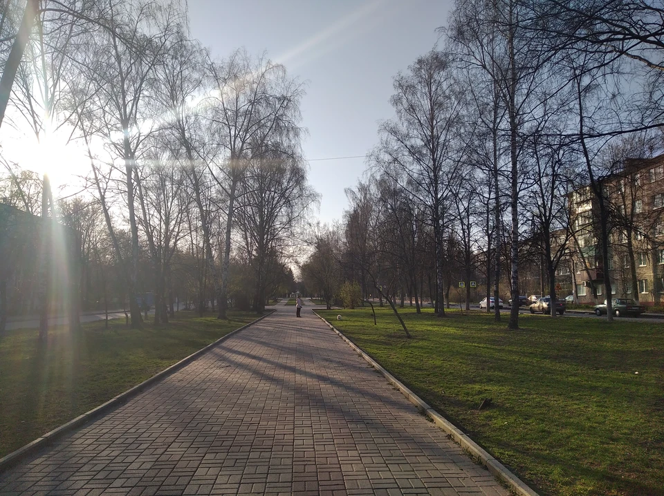 Мероприятия проекта проходят в городских парках