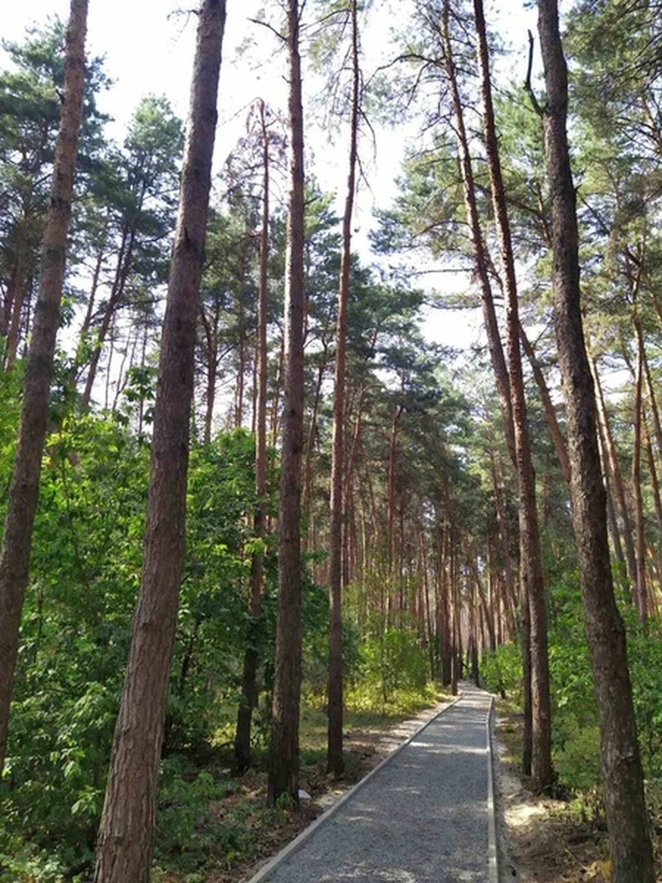 В поселке Маслова Пристань Белгородчины появится новая территория для отдыха. Фото пресс-службы администрации Шебекинского городского округа