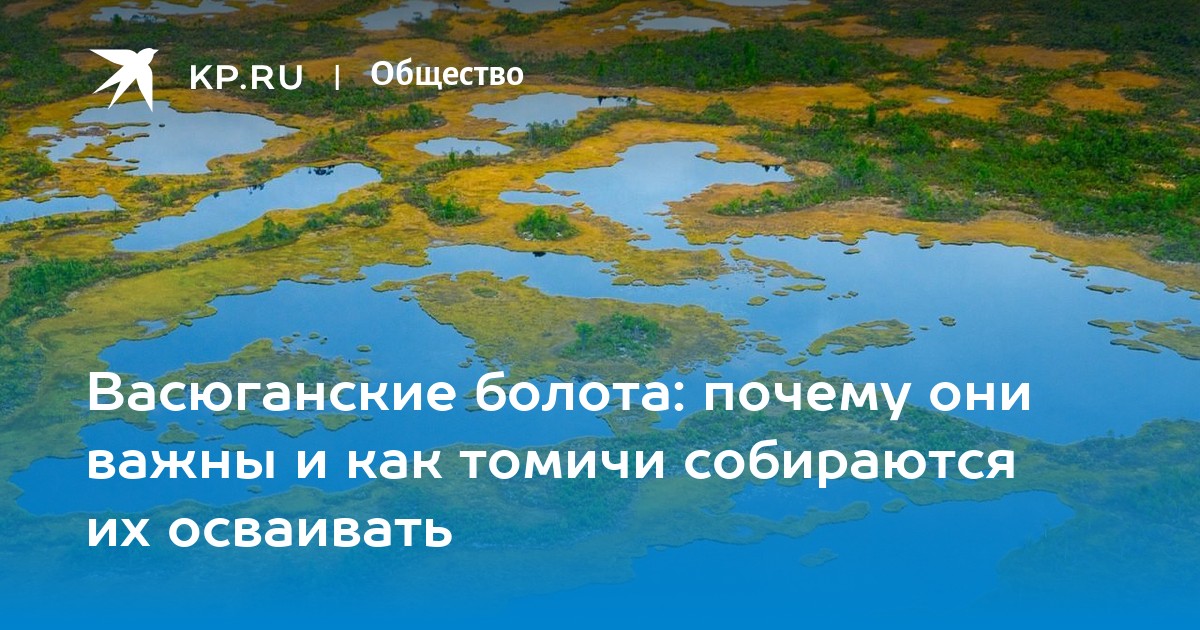 Где находится болотное. Васюганские болота на карте России. Васюганские болота в Новосибирской области на карте. Васюганские болота границы на карте. Васюганский заповедник на карте.