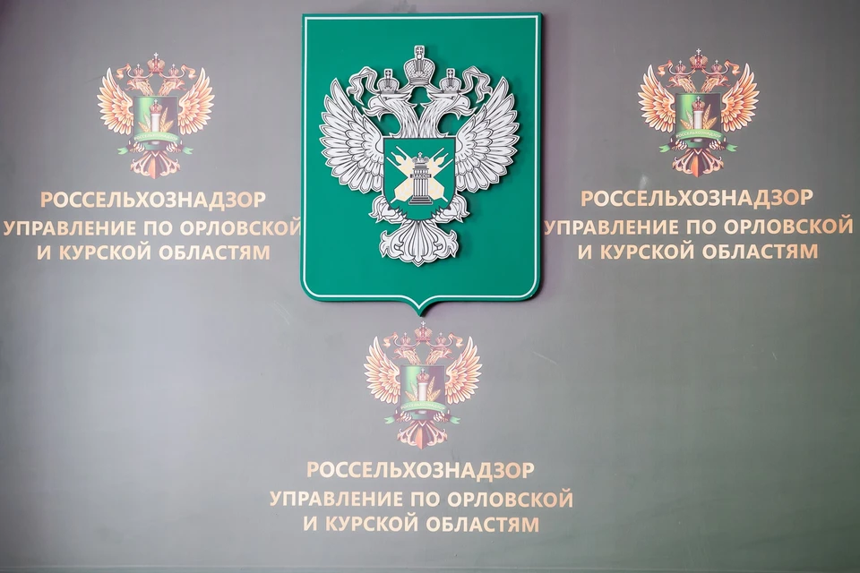 Орловских аграриев наказали за нарушение техрегламента по зерну