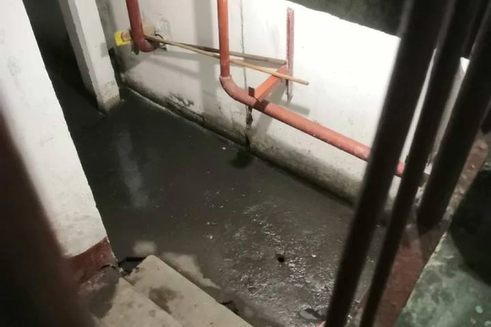 Петербурженка пожаловалась на потоп в доме после ливня 29 июля