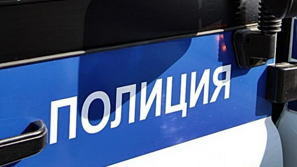 В полиции не пропустили запрещенный материал