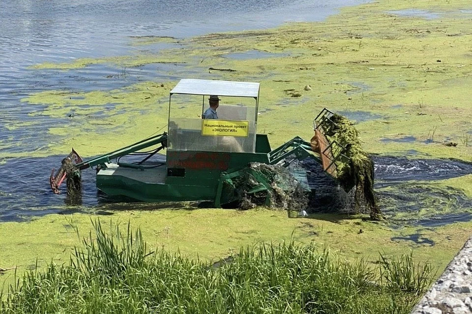 Для очистки реки используется спецтехника. Фото: t.me/Ecoche
