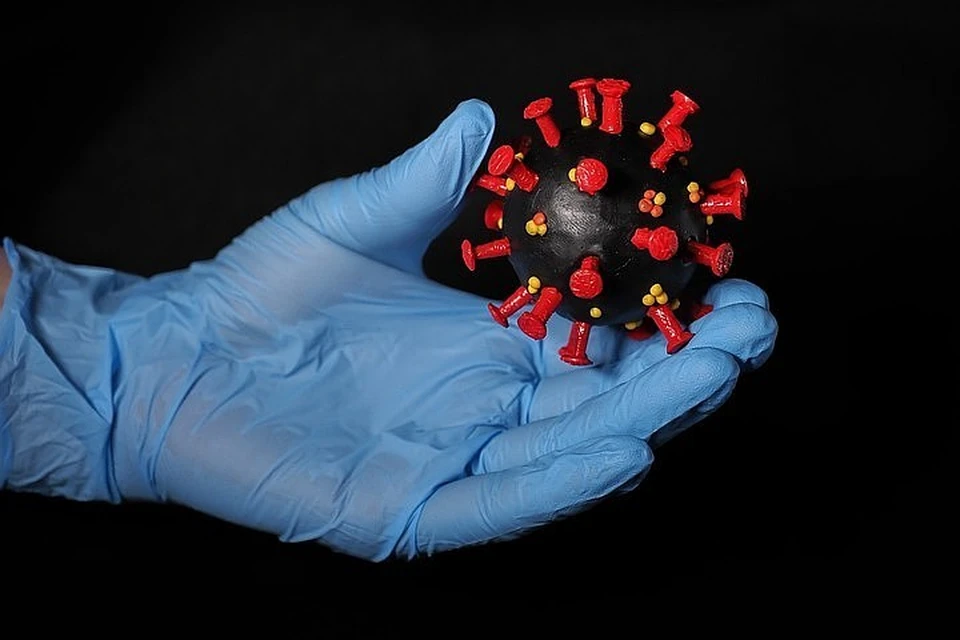 Академии наук России и США согласились о сотрудничестве в борьбе с коронавирусом