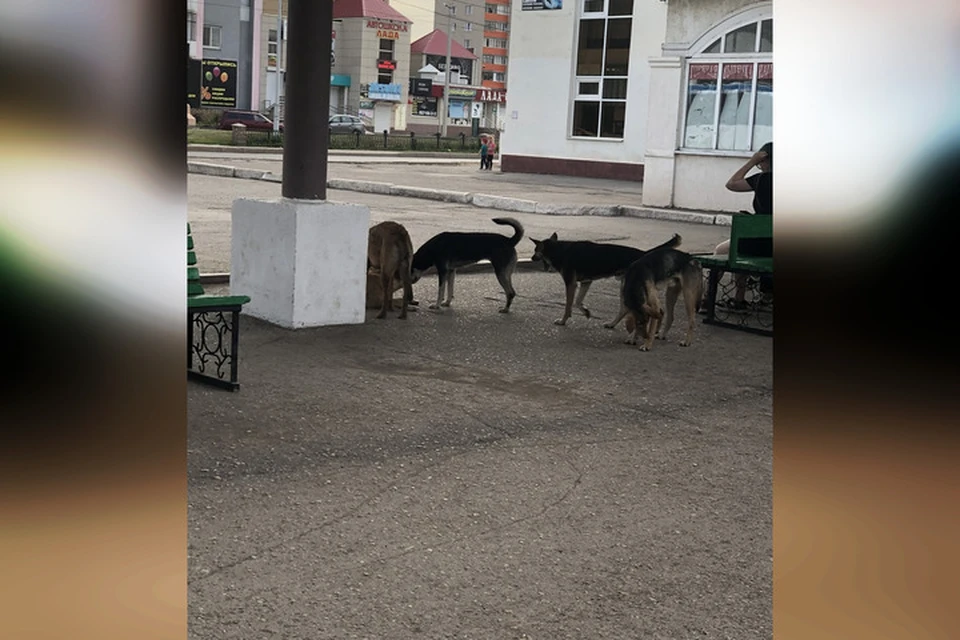 Фото: соцсети