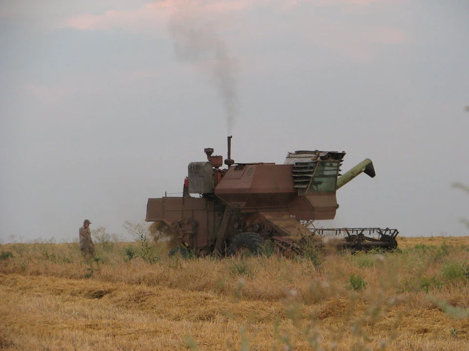 ДНР в этом году намерена экспортировать 100 тысяч тонн пшеницы и ячменя